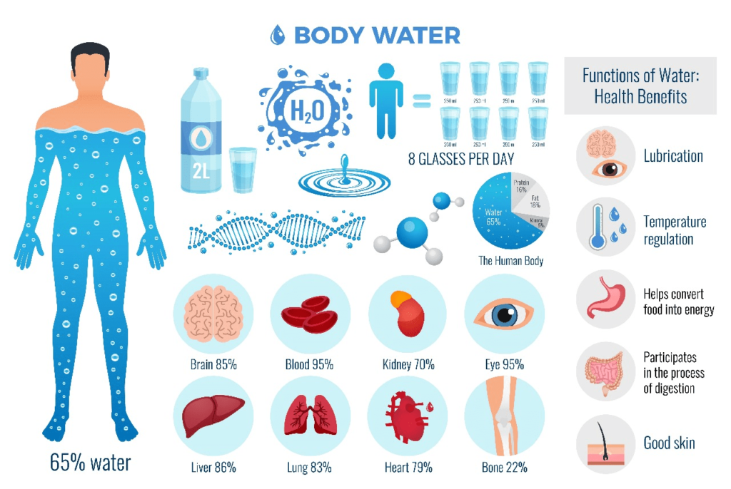 Hydration Hub: Your Ultimate Guide to Optimal Hydration for Health and Wellness