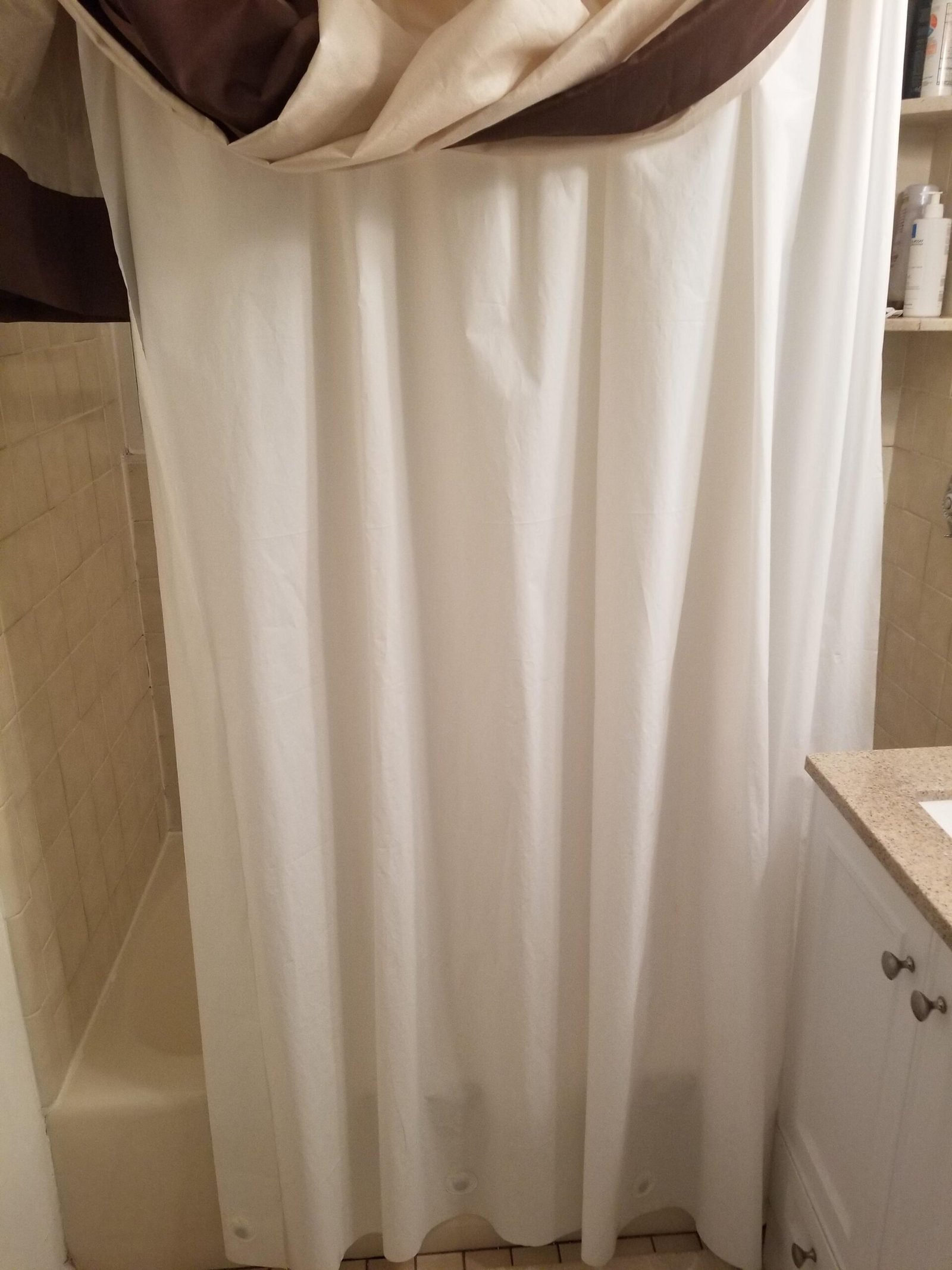 DeLaines Frosted Shower Curtain Liner